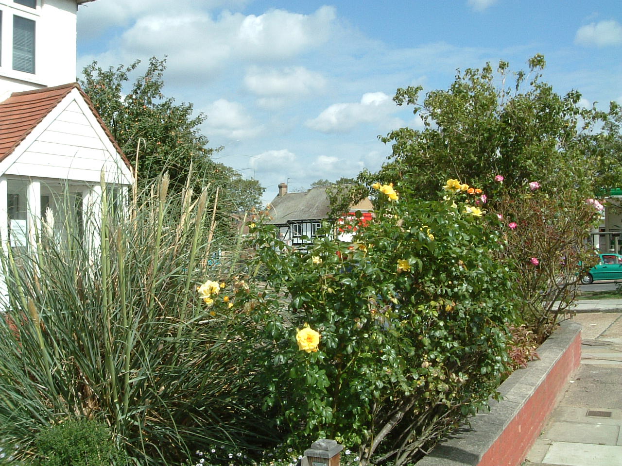 Contact Us The Grove Medical Practice